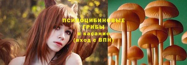 мдма Инсар