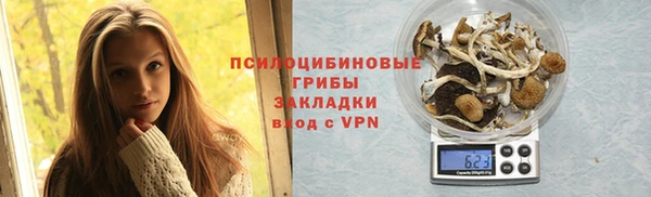 mix Инта