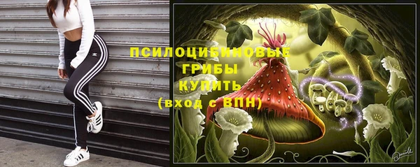 mix Инта