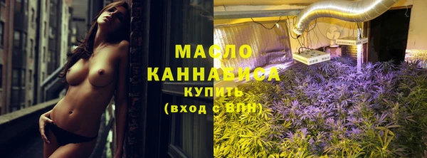 mix Инта