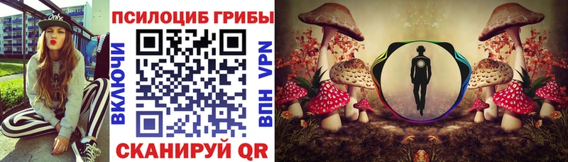 Галлюциногенные грибы Cubensis  Купить  Богучар 